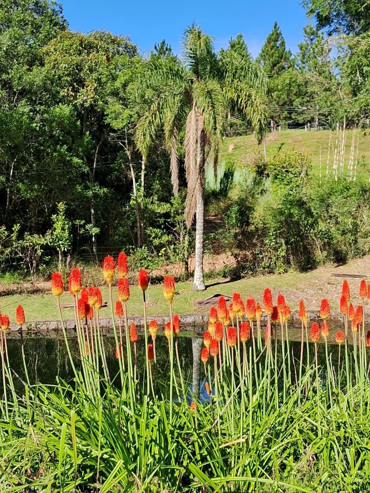 Sitio Serra Das Paineiras Jundiaí Exterior foto
